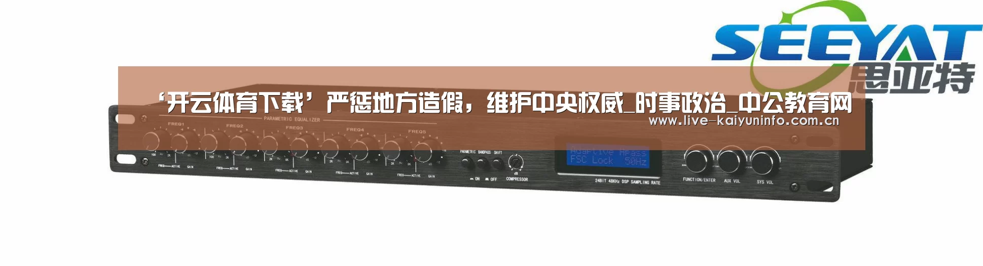 ‘开云体育下载’严惩地方造假,维护中央权威_时事政治_中公教育网(图3) 开云体育下载