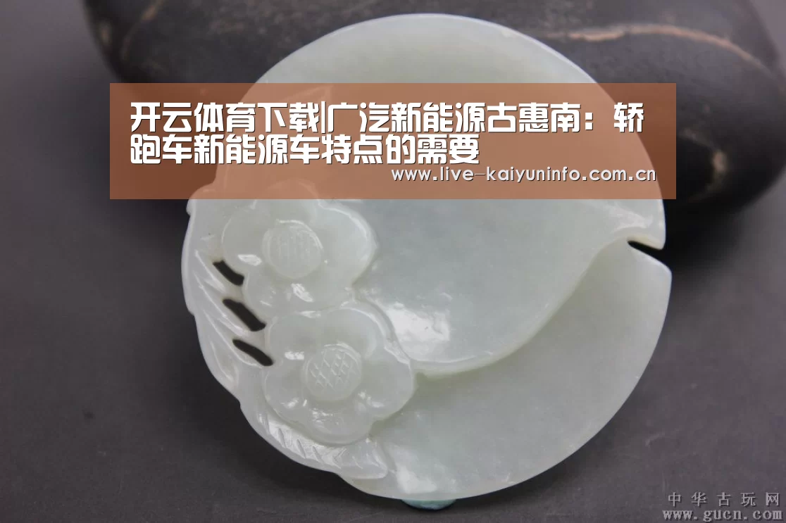 开云体育下载|广汽新能源古惠南:轿跑车新能源车特点的需要(图4) 开云官网