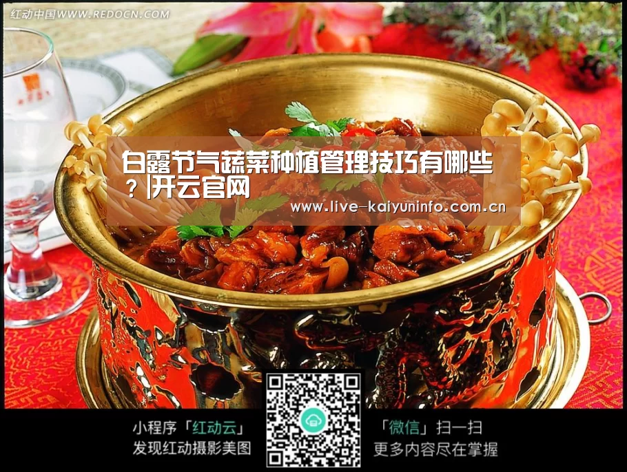 开云体育下载