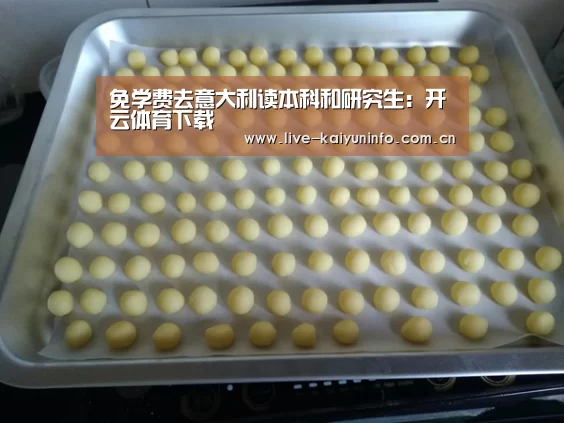 免学费去意大利读本科和研究生:开云体育下载(图1) 开云