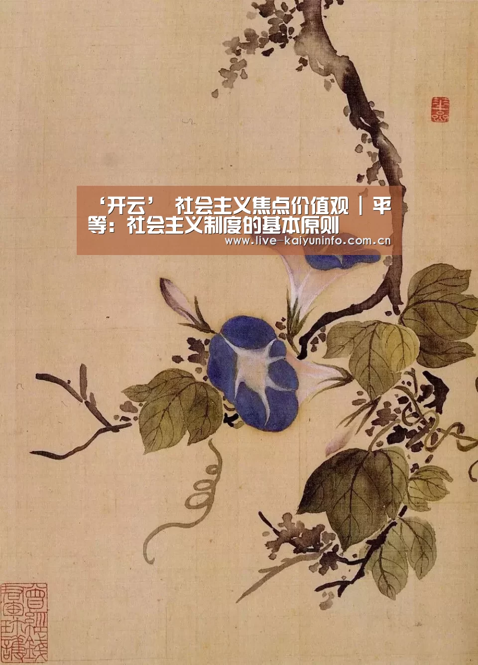 开云官网